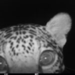 38 años de la Fundación Moisés Bertoni: conservar la naturaleza junto a las comunidades