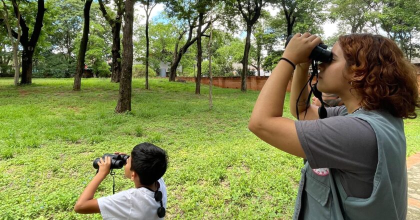 El MuCi invita a descubrir insectos y observar aves todos los fines de semana