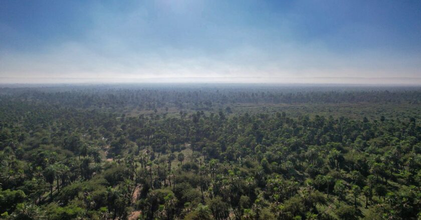 Donan 1.313 hectáreas en la cuenca del Lago Ypacaraí para su protección a perpetuidad