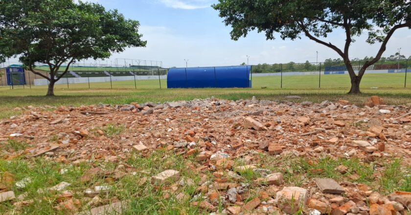 Parque Guasu: ¿Protección real o letra muerta?
