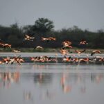 Paraguay despliega su oferta turística para las vacaciones de invierno
