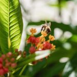 MuCi amplía su agenda de vacaciones de invierno con experiencias científicas, tecnología y astronomía