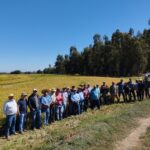 Proyecto regional impulsa un modelo de arroz sostenible con beneficios para productores e inversión