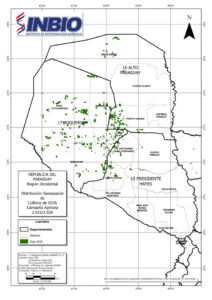 Soja recupera 54.775 hectáreas en el Chaco y vuelve a niveles de 2024
