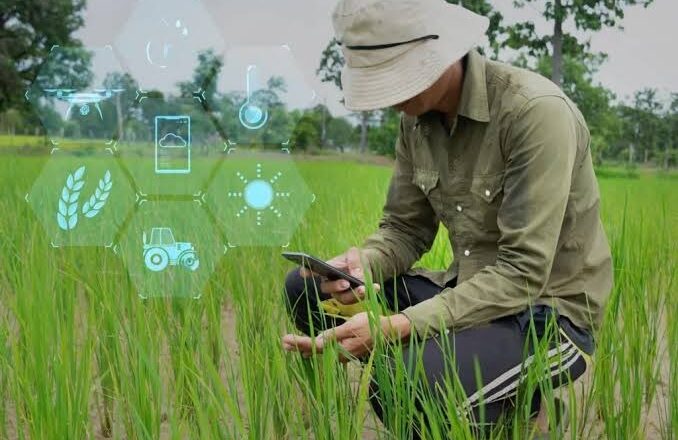 IICA alerta sobre la brecha digital del agro: productores usan menos del 5% de las tecnologías disponibles