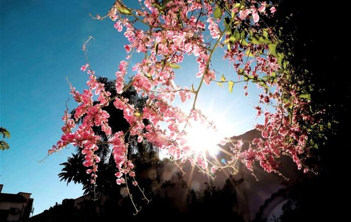 Lunes cálido a caluroso con vientos del sur