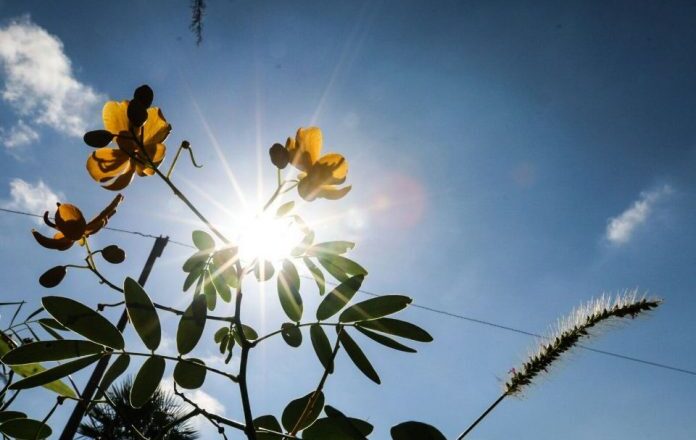 Prevén un martes cálido a caluroso con vientos variables