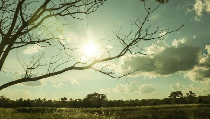 Viernes caluroso con vientos del sureste