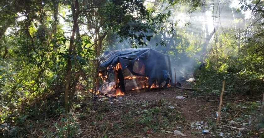Senad desmantela 8 campamentos narcos en la Reserva del Mbaracayú