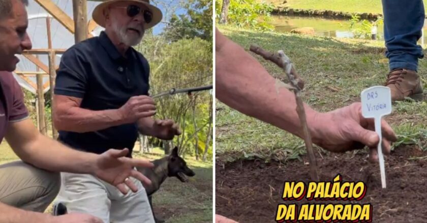 Lula da Silva invita a Trump a conocer «el Brasil verdadero»