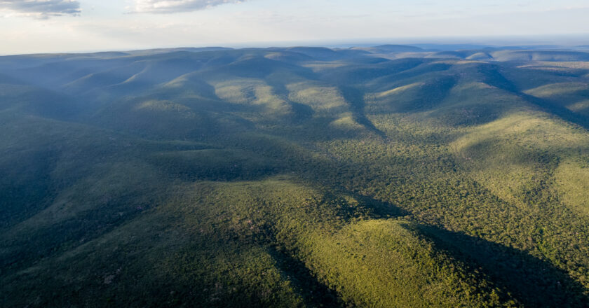 Refuerzan acciones de conservación ante el poco conocimiento sobre Áreas Silvestres Protegidas