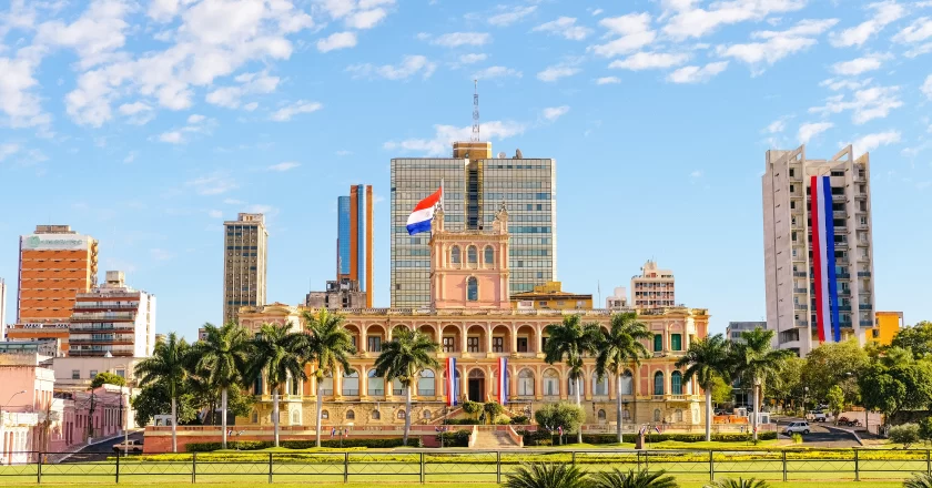 La Oposición y Asunción