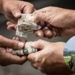 Alarmantes situaciones