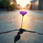 Resiliencia y proverbios