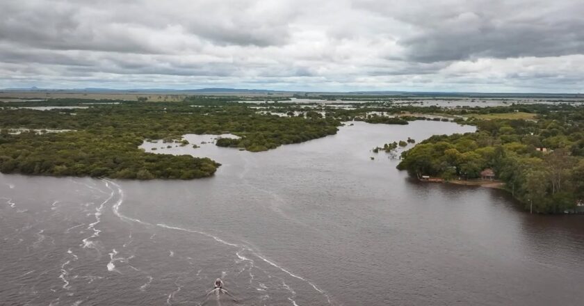 MADES decomisa pescados durante la veda y advierte sobre sanciones severas