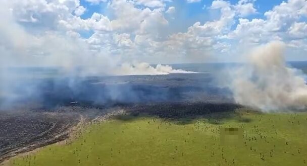 Confirman que incendio forestal en Chaco’i fue intencional