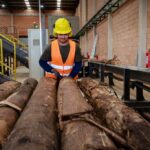 Exportaciones forestales superan los US$ 100 millones en 2025
