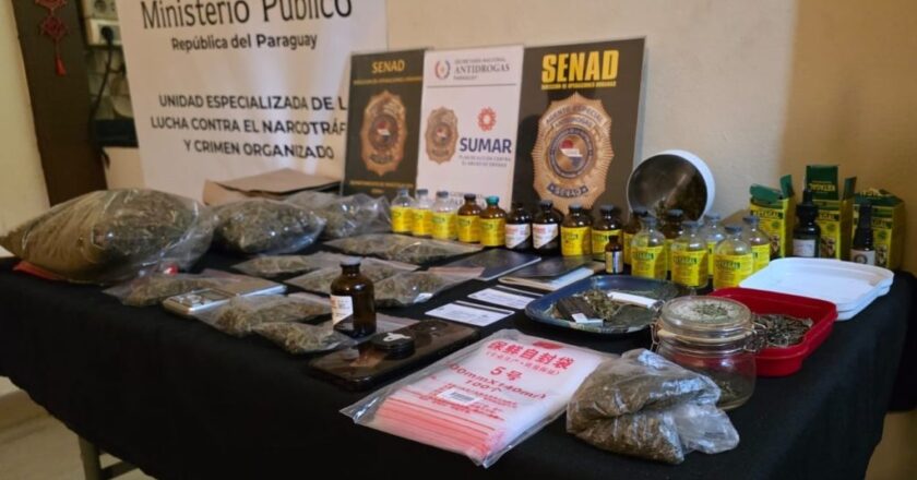 Senad incauta marihuana y ketamina, expertos alertan por su consumo