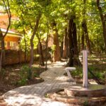 Naturaleza, ciencia y exploración: las propuestas del MuCi para mayo
