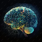 CEREBRO Y MODOS