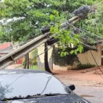 Temporal: caída de árboles y postes afecta suministro eléctrico en el área metropolitana