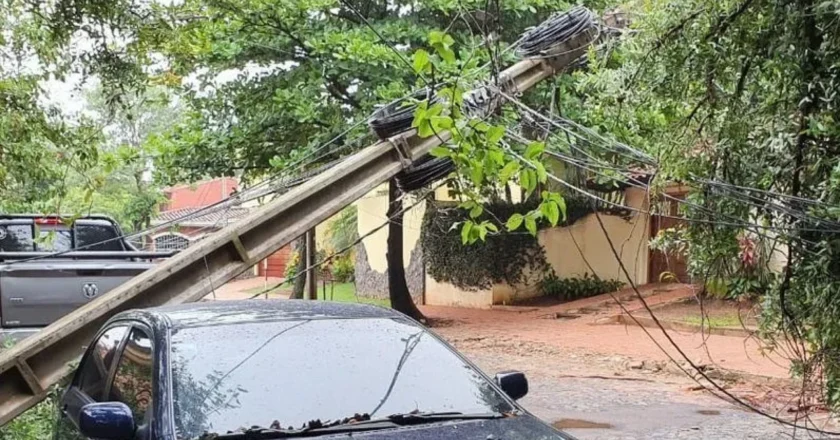Temporal: caída de árboles y postes afecta suministro eléctrico en el área metropolitana