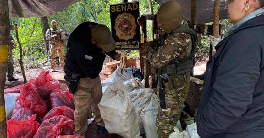 Incautan casi 8 toneladas de marihuana en Amambay