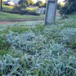Paraguay registra temperaturas bajo cero y vive el día más frío del 2026