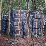 SENAD incauta más de 53 toneladas de marihuana y golpea al crimen organizado en Amambay