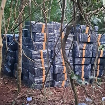 SENAD incauta más de 53 toneladas de marihuana y golpea al crimen organizado en Amambay