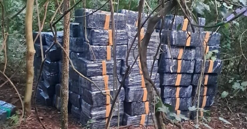 SENAD incauta más de 53 toneladas de marihuana y golpea al crimen organizado en Amambay