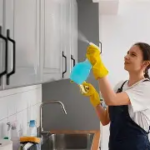 LIMPIEZA Y VENTAJAS