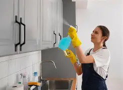 LIMPIEZA Y VENTAJAS