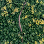 Paraguay oficializa su primera Política Forestal Nacional para redefinir el desarrollo del sector