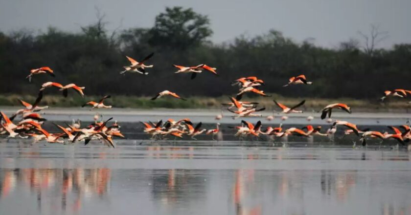 Paraguay despliega su oferta turística para las vacaciones de invierno