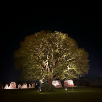 Colosos de la Tierra abre inscripciones para encontrar los árboles más emblemáticos del Paraguay