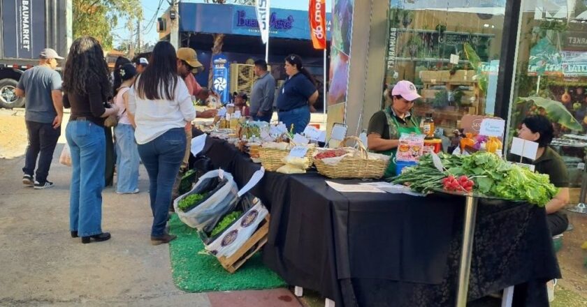 Expo Paraguay 2026 reunirá a 550 familias productoras en feria organizada por el MAG