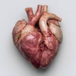 CORAZÓN Y CUIDADOS