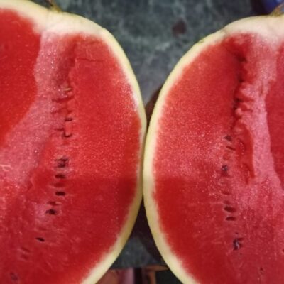 Paraguay proyecta superar las 80.000 toneladas de sandía y consolida al cultivo como un motor para el desarrollo rural