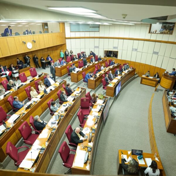 Senado modifica ley de emergencia del IPS y devuelve el proyecto a Diputados