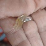 ¿Qué se sabe de los fragmentos hallados en platos de alumnos de Hernandarias?