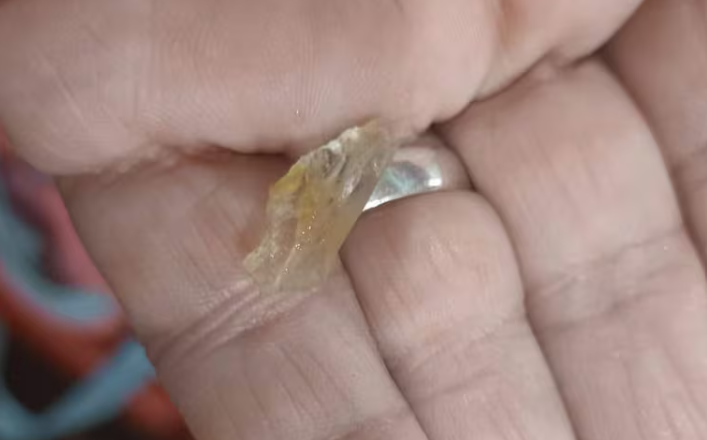 ¿Qué se sabe de los fragmentos hallados en platos de alumnos de Hernandarias?