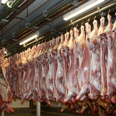 Turquía habilita ocho frigoríficos paraguayos para exportar carne