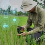 IICA alerta sobre la brecha digital del agro: productores usan menos del 5% de las tecnologías disponibles
