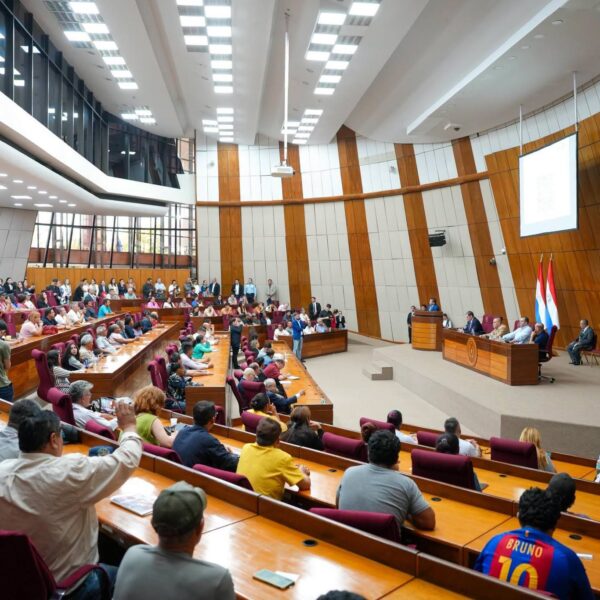 Senado recibe propuesta para suspender materiales de educación sexual del MEC