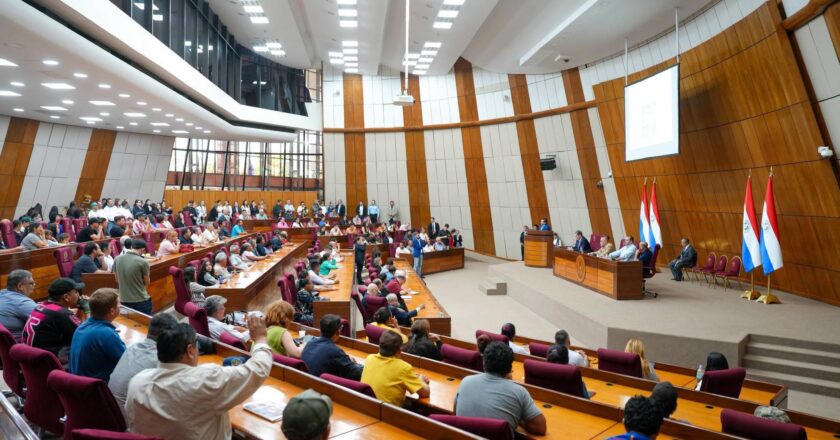 Senado recibe propuesta para suspender materiales de educación sexual del MEC