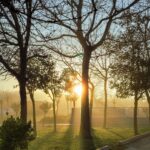 Lunes con amanecer frío y máximas de hasta 26 °C en Paraguay